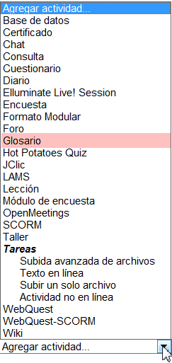 Agregar actividad: glosario