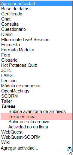 Agregar actividad: Texto en linea