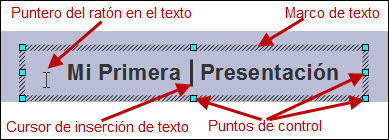 Elementos de un marco de texto