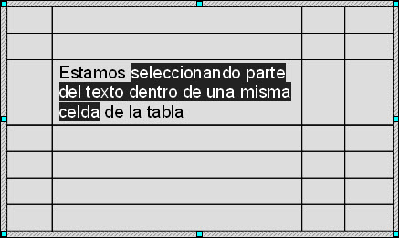 Texto seleccionado en una celda