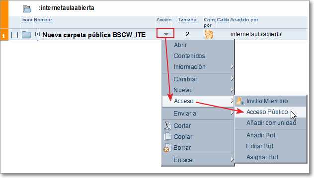 Seleccionar acceso público